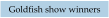 Goldfish show winners