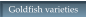 Goldfish varieties